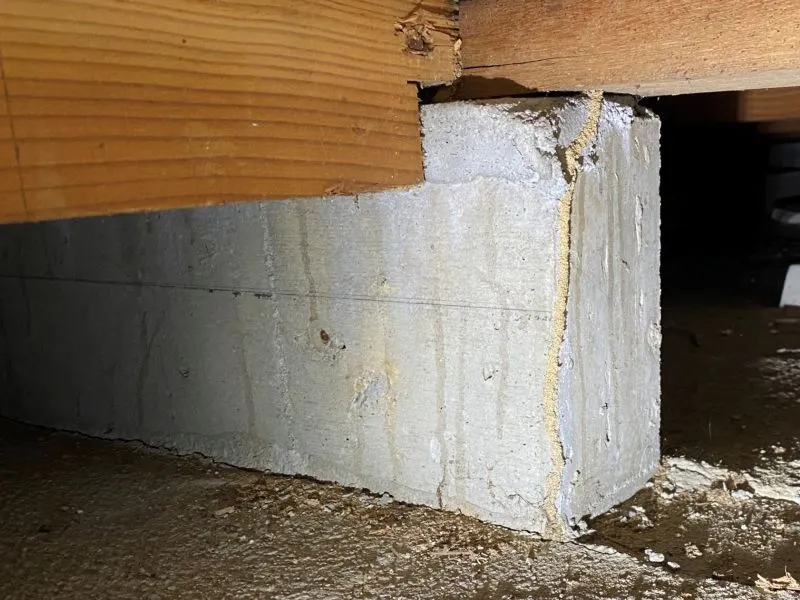 シロアリ被害を招きやすい外壁の危険信号：基礎付近の蟻道（ぎどう）